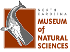Museum of Natural Sciences